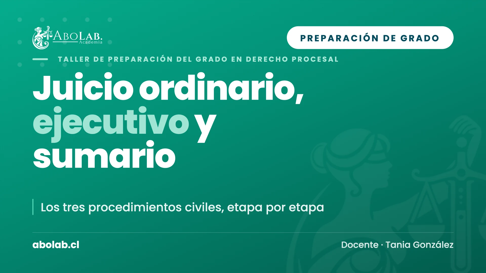Taller de Juicio Ordinario, Ejecutivo y Sumario — Preparación de Grado