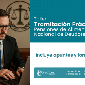 Taller de Tramitación Práctica de Pensiones de Alimentos y Registro Nacional de Deudores