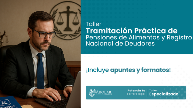 Taller de Tramitación Práctica de Pensiones de Alimentos y Registro Nacional de Deudores