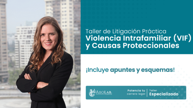 Taller de Litigación Práctica: Violencia Intrafamiliar y Causas Proteccionales ENERO 2026